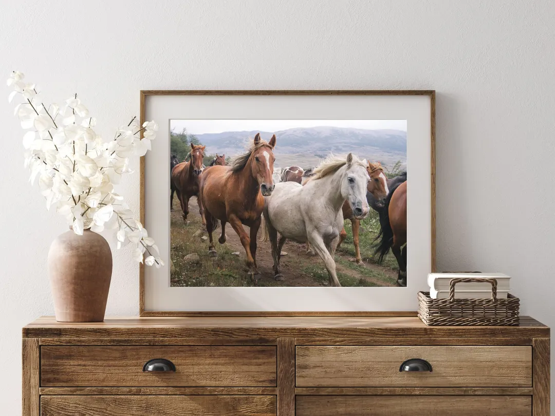 Caballos patagónicos I en un ambiente (maqueta)