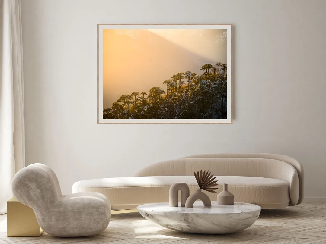 Araucarias al amanecer en un ambiente (maqueta)