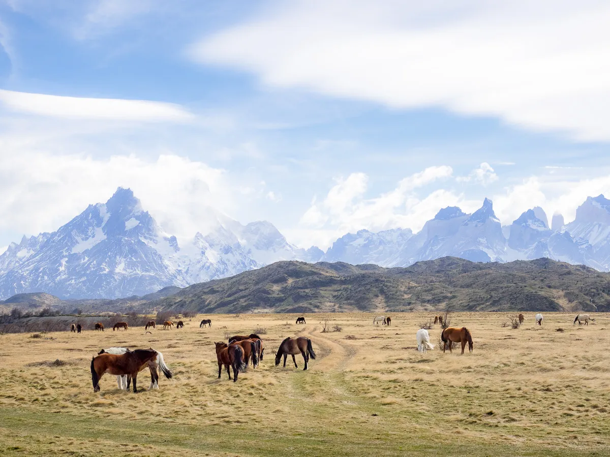 Paisaje patagónico I, Patagonia