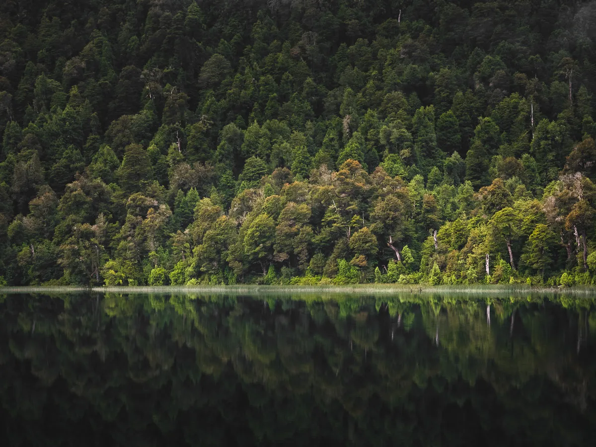 Lago Toro, Parque Nacional Puyehue