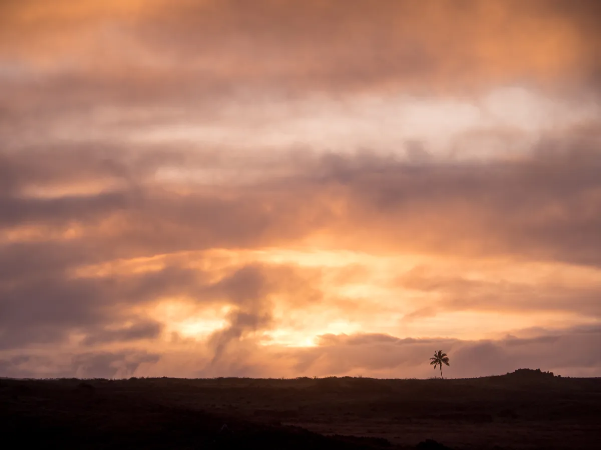 Amanecer en Rapa Nui, Rapa Nui
